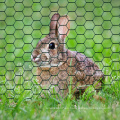 Malla de alambre hexagonal galvanizado recubierto de PVC para pollo para pollo